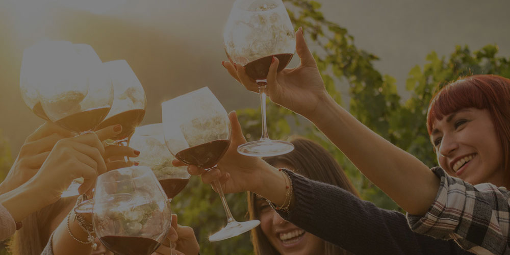 Guía del Vino Italiano en México